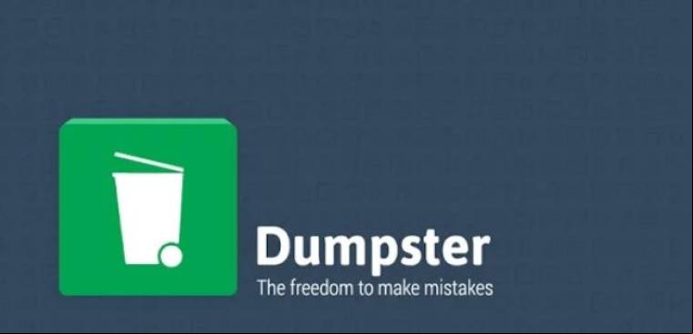 Dumpster Pro Apk